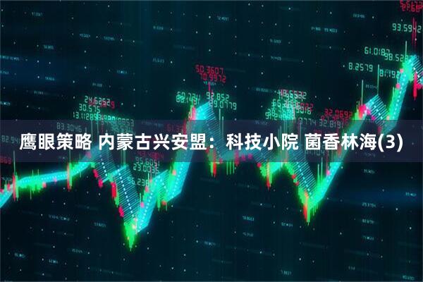 鹰眼策略 内蒙古兴安盟：科技小院 菌香林海(3)